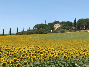 Il vecchio seccatoio